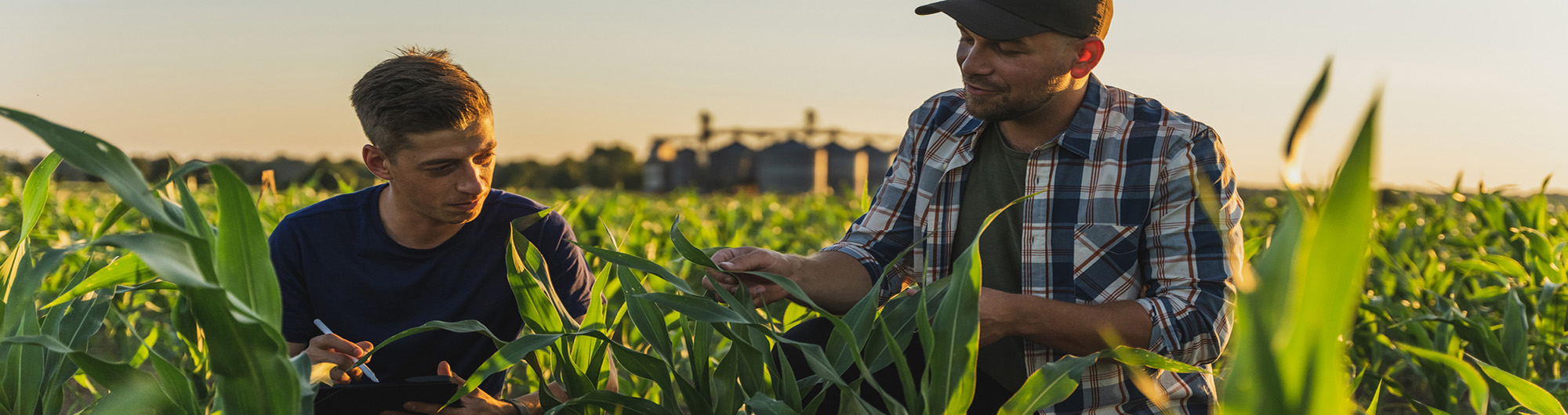 Agriculture
